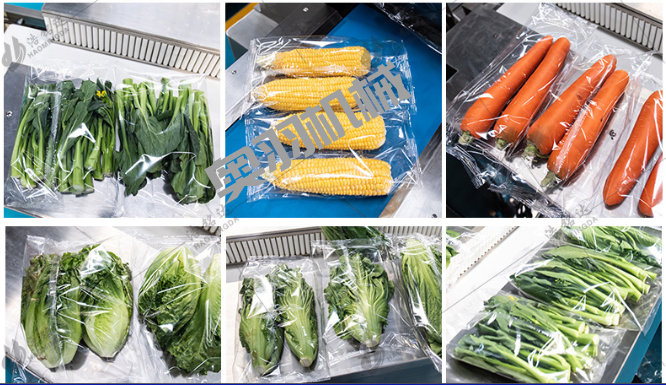 邢臺(tái)榮勝電子商務(wù)有限公司_http://www.lntfjy.com_工程案例_第2張