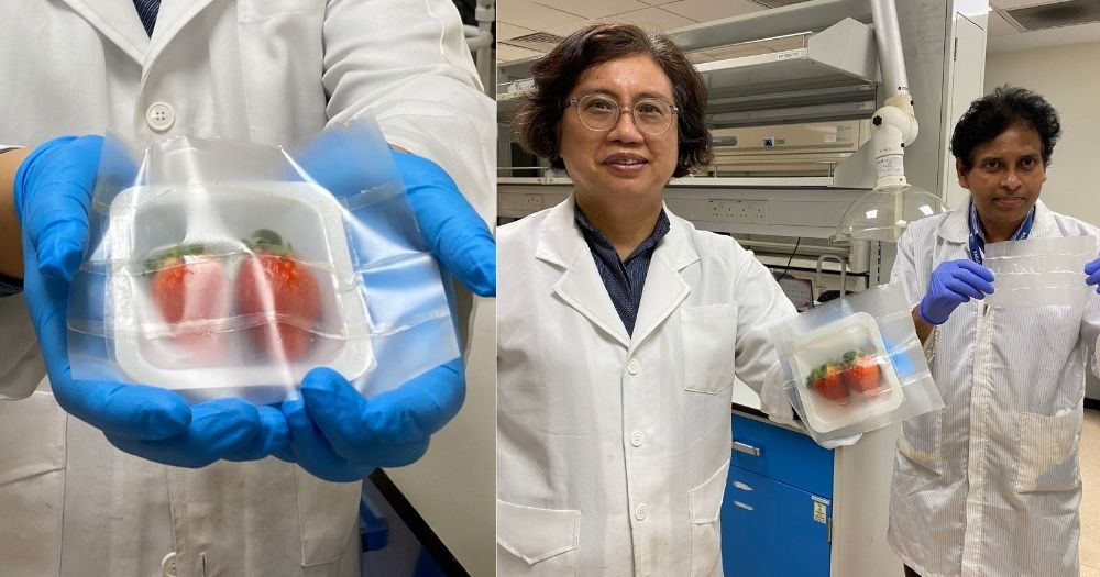 可生物降解的柔性食品包裝_http://www.lntfjy.com_新聞資訊_第1張