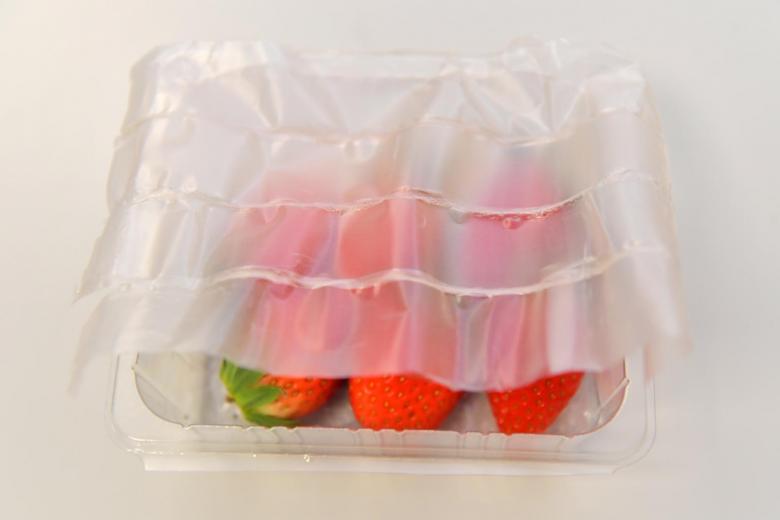 可生物降解的柔性食品包裝_http://www.lntfjy.com_新聞資訊_第2張