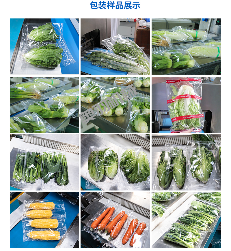 速凍蔬菜前景可期 速凍工藝打造品質(zhì)高地_http://www.lntfjy.com_新聞資訊_第2張